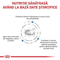 ROYAL CANIN VD Hypoallergenic Small Dog, XS-S, dietă veterinară, hrană uscată câini, alergii alimentare, 3.5kg - 7