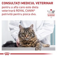 ROYAL CANIN VD Urinary S/O, dietă veterinară, hrană uscată pisici, sistem urinar, 400g - 8