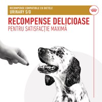 ROYAL CANIN VETERINARY DIET Urinary S/O Treats, punguță recompense funcționale câini, sistem urinar, 230g - 4