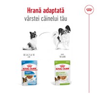 ROYAL CANIN X-Small Adult hrană umedă câini (în sos), 85g - 7