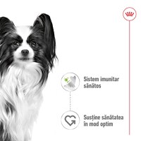 ROYAL CANIN X-Small Adult hrană umedă câini (în sos), 85g - 3