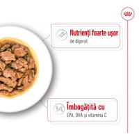 ROYAL CANIN X-Small Adult hrană umedă câini (în sos), 85g - 4