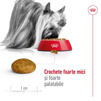 ROYAL CANIN X-Small Adult, hrană uscată câini, 1.5kg - 5