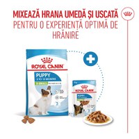 ROYAL CANIN X-Small Puppy, hrană uscată câini junior, 1.5kg - 10