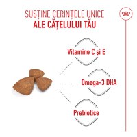 ROYAL CANIN X-Small Puppy, hrană uscată câini junior, 1.5kg - 5