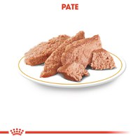 ROYAL CANIN Yorkshire Adult hrană umedă câini (pate), 85g - 5