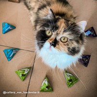 SANABELLE Thanks-Snack, Pasăre, recompense pisici, 20g - 4