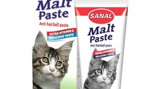 Sanal Pasta de Malt Anti-Hairball, 100 g
