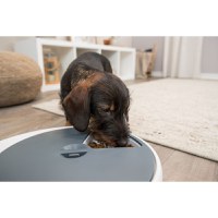 TRIXIE TX5, hrănitor automat câini, 1 bol asimetric, programabil, plastic TRIXIE TX5, hrănitor automat câini și pisici, 1 bol asimetric, programabil, plastic, alb și gri, XS(1.25l, 33x5cm) - 6