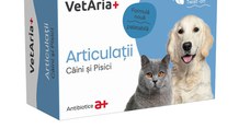 VETARIA+ Articulatii, supliment sistem articular câini, Pui, capsule VETARIA+ Articulatii, XS-XL, supliment sistem articular câini și pisici, Pui, cutie, 30 capsule
