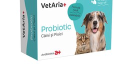VETARIA+ Probiotic, supliment sistem digestiv & probiotice câini, Pui, capsule VETARIA+ Probiotic, XS-XL, supliment sistem digestiv & probiotice câini și pisici, Pui, cutie, 30 capsule