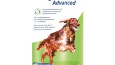 VETOQUINOL Flexadin Advanced pentru Câini - Supliment Articular Masticabil S-XL, 60 Comprimate