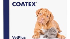 VETPLUS Coatex, supliment piele & blană câini, capsule VETPLUS Coatex, XS-XL, supliment piele & blană câini și pisici, cutie, 60 capsule