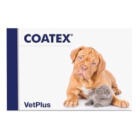 VETPLUS Coatex, supliment piele & blană câini, capsule VETPLUS Coatex, XS-XL, supliment piele & blană câini și pisici, cutie, 60 capsule - 2