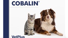 VETPLUS Cobalin, supliment sistem digestiv câini, capsule VETPLUS Cobalin, XS-XL, supliment sistem digestiv câini și pisici, cutie, 60 capsule
