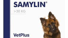 VETPLUS Samylin Large Breed, supliment sistem hepatic câini, comprimate VETPLUS Samylin Large Breed, L-XL, supliment sistem hepatic câini, cutie, 30 comprimate