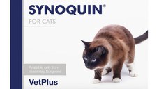 VETPLUS Synoquin, supliment sistem articular pisici, capsule VETPLUS Synoquin, supliment sistem articular pisici, cutie, 30 capsule