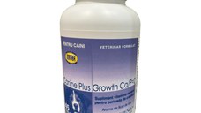 VETRI SCIENCE Canine Plus Growth Ca/P, suplimente creștere și vitalitate câini, 45tbl masticabile