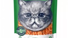 WANPY Freeze Dried, Creveți, punguță recompense monoproteice pisici, 20g