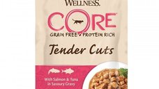 Wellness Core Hrana Umeda pentru Pisici cu Somon si Ton in Sos, 85 g