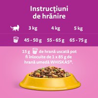 WHISKAS Adult, Pui, hrană uscată pisici, 14kg - 9