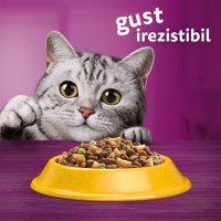 WHISKAS Adult Sterile, Pui, hrană uscată pisici sterilizate, 14kg - 16