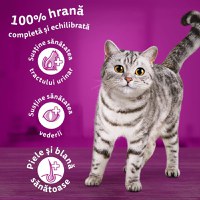 WHISKAS Adult, Ton, hrană uscată pisici, 14kg - 12