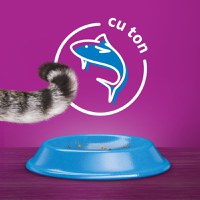 WHISKAS Adult, Ton, hrană uscată pisici, 14kg - 4