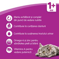 WHISKAS Adult, Vită, hrană uscată pisici, 14kg - 15
