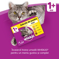 WHISKAS Adult, Vită, hrană uscată pisici, 14kg - 10
