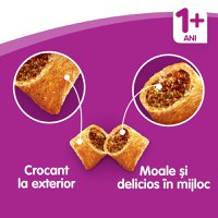 WHISKAS Adult, Vită, hrană uscată pisici, 14kg - 5