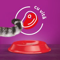 WHISKAS Adult, Vită, hrană uscată pisici, 14kg - 8