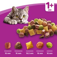 WHISKAS Adult, Vită, hrană uscată pisici, 14kg - 14
