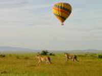8 zile Safari in Tanzania by Perfect Tour - 17