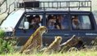 8 zile Safari in Tanzania by Perfect Tour - 18