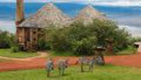 8 zile Safari in Tanzania by Perfect Tour - 7