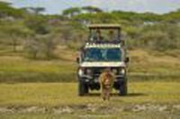 8 zile Safari in Tanzania by Perfect Tour - 5