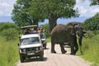 8 zile Safari in Tanzania by Perfect Tour - 3