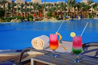 Albatros Palace Resort 5* - last minute by Perfect Tour - 15