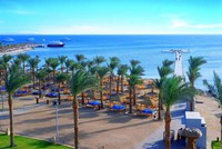 Albatros Palace Resort 5* - last minute by Perfect Tour - 12