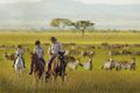 Best of Tanzania - Tarangire, Ngorongoro Crater, Serengeti by Perfect Tour - 2