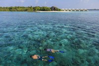 Dhigali Maldives Resort 5* by Perfect Tour - 4