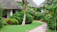 Essque Zalu Zanzibar Resort 5* by Perfect Tour - 21