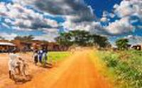 Flying Safari - 4 zile fantastice in Uganda by Perfect Tour - 3