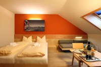 JUFA Hotel Schladming 3* by Perfect Tour - 18