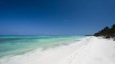 Luna de miere in Zanzibar - Karafuu Beach Resort & Spa 5* by Perfect Tour