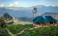 Madulkelle Tea & Eco Lodge 5* by Perfect Tour - 19