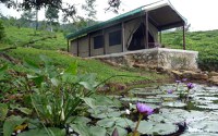 Madulkelle Tea & Eco Lodge 5* by Perfect Tour - 14