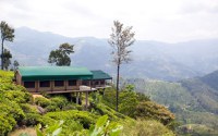 Madulkelle Tea & Eco Lodge 5* by Perfect Tour - 2