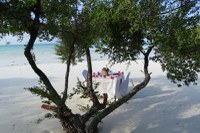 Pearl Beach Resort & Spa Zanzibar 4* by Perfect Tour - 3